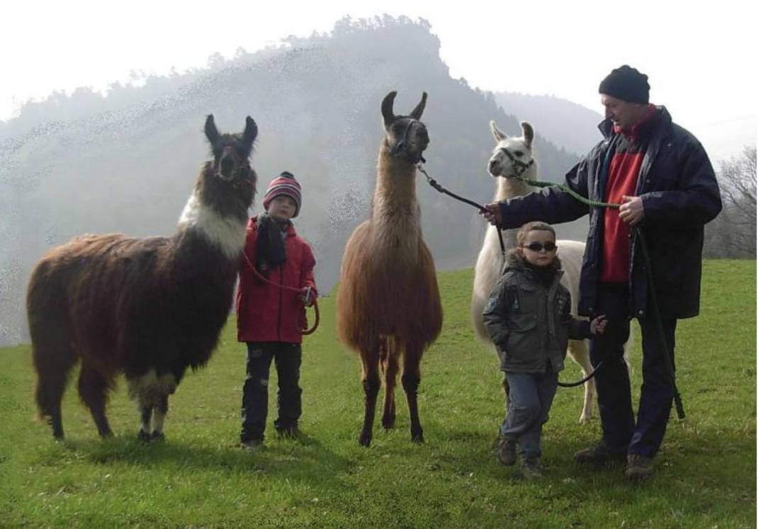 La ferme pédagogique des LAMAS - Barberaz - Activités avec animaux - Okupy